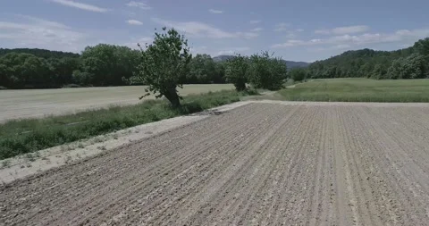 Aerial view of green fields and dry, surrounded by hills, plants and mountains Stock Footage 196810190