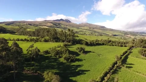 Aerial View of Green Fields and Woodland in Ecuador 库存影片 231328440