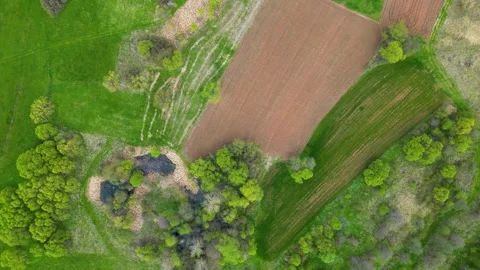 Aerial view on the green fields and meadows in Sokobanja from Popovica hill Stock Footage 241285139