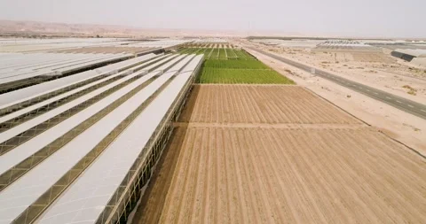 Aerial view of green fields and greenhouse, Paran, Negev desert, Israel. Stock Footage 255145241