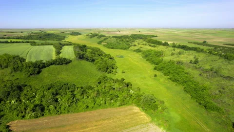 Aerial view of green fields and woods in plain countryside in sunny day Stock Footage 263107494