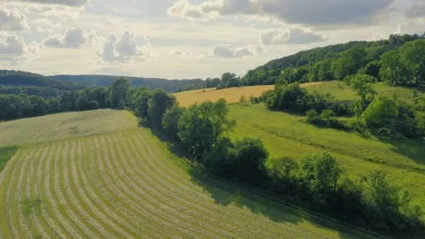 Aerial view of green fields and rolling hills in summer Video stock 312483712