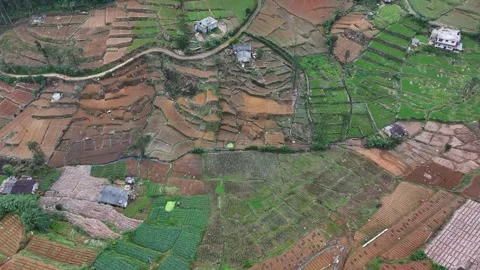 Aerial view of green fields and houses, Sri Lanka. Video stock 312836233
