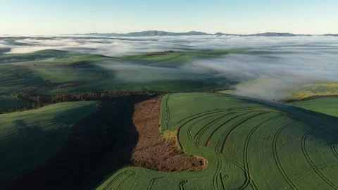 Aerial view of green fields and fog, South Africa. Stock Footage 314011772