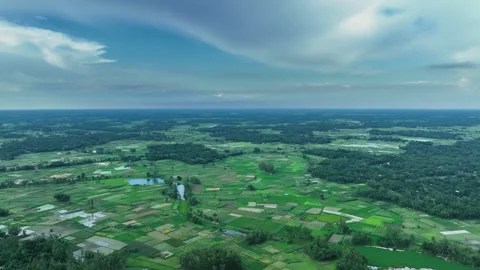 Aerial view of green fields and ponds, Bangladesh. Stock Footage 315443070