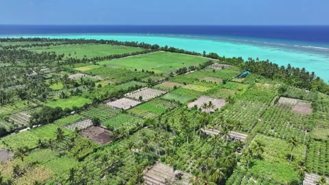 Aerial view of green fields and ocean, Maldives. 動画素材 320406326