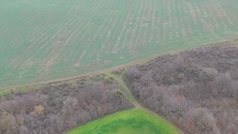 Aerial view of green fields and forest hills in early winter Stock Footage 323321145