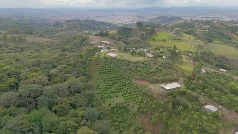 Aerial view of green fields and hills in Popayán Stock Footage 329904258