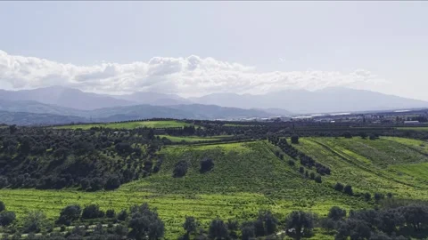 Aerial View of Green Fields and Mountains in Mediterranean - 4K Stock Footage 331801826