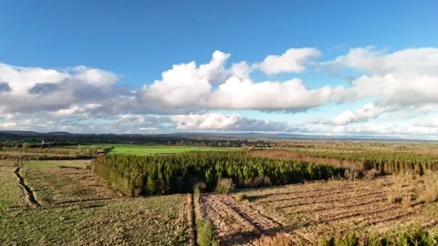 Aerial View of Green Fields and Dramatic Clouds Over Countryside 스톡 동영상 332738616