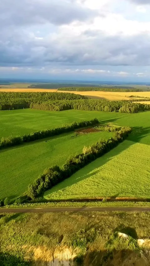 Aerial view of green fields and forest patches landscape Stock Footage 334169417