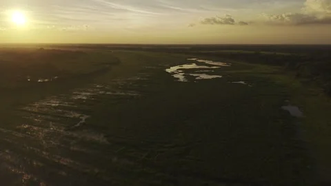 Aerial View of Green Fields and Water Patches at Sunset in Rural Bangladesh Video stock 341992115