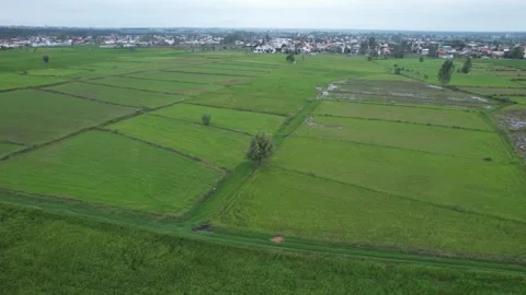 Aerial View of Green Fields and Village in Chamestan Stock Footage 348667352