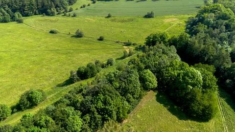 Aerial View of Green Fields and Forest in Summer Stock Photos