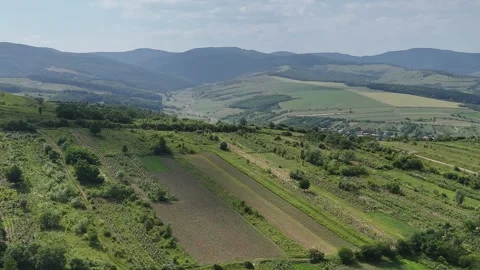 Aerial view of green fields around of Somusca village, Romania Stock Footage 311754232