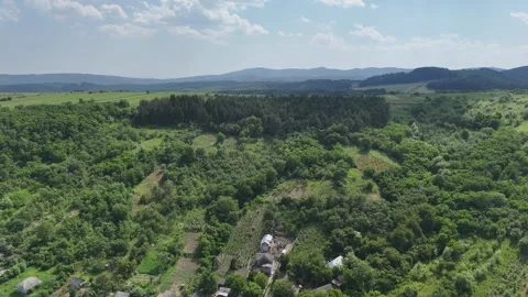 Aerial view of green fields around of Somusca village, Romania Stock Footage 311754402