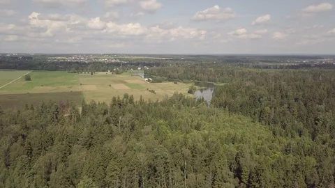 Aerial view of green fields with blue river and green forest Stock Footage 124166450