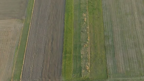 Aerial view of green fields from a drone. Stock Footage 230140214