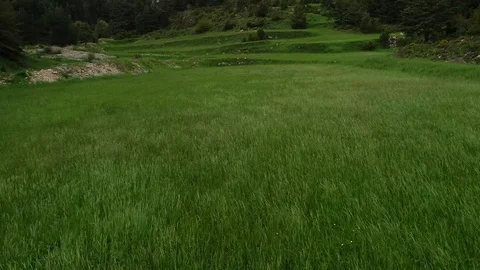 Aerial view of green fields Stock Footage 101097237