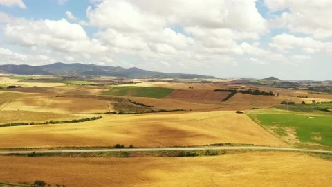 Aerial view of green fields Stock Footage 135529687