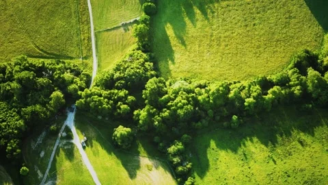 Aerial view of green fields Vídeo Stock 143900767