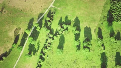 Aerial view of green fields Vídeo Stock 144632458