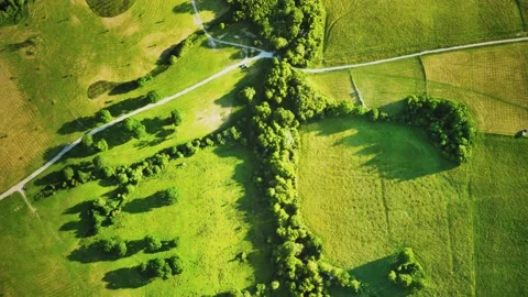 Aerial view of green fields Vídeo Stock 145187451