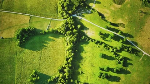 Aerial view of green fields Vídeo Stock 145651462