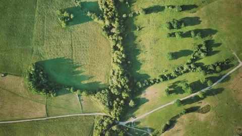 Aerial view of green fields Vídeo Stock 146209664