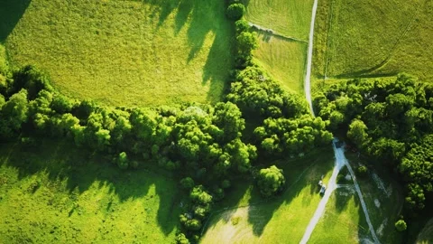 Aerial view of green fields Vídeo Stock 146591895
