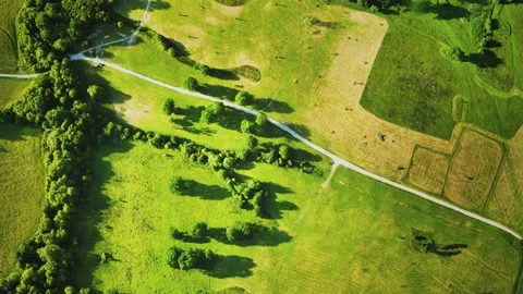 Aerial view of green fields Vídeo Stock 147323893