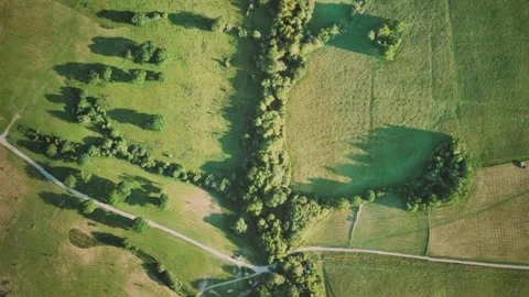 Aerial view of green fields Vidéo 148205357