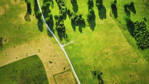 Aerial view of green fields 스톡 동영상 150431440