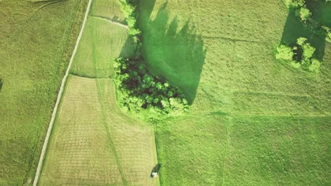 Aerial view of green fields Vídeo Stock 158375565