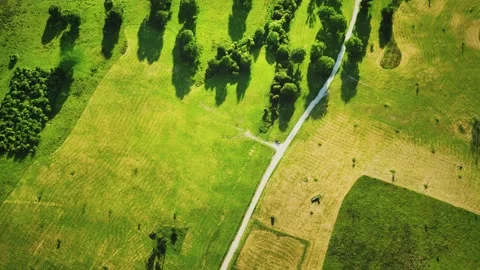 Aerial view of green fields Vídeo Stock 159741619