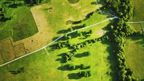 Aerial view of green fields Stock-Footage 243166727