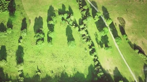 Aerial view of green fields Vidéo 246173602