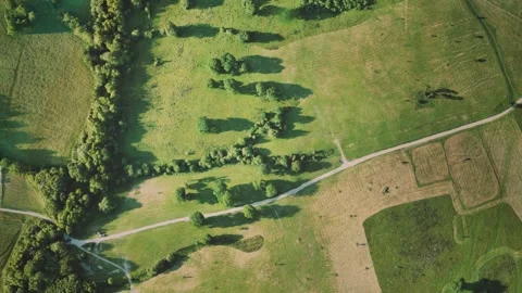 Aerial view of green fields Stock-Footage 252885145