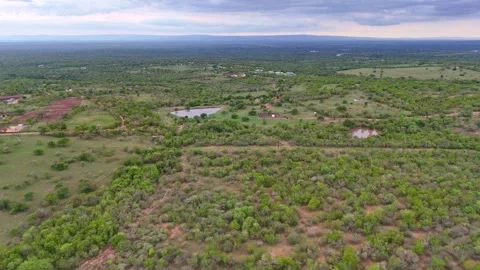 Aerial view of green fields Video stock 296542101