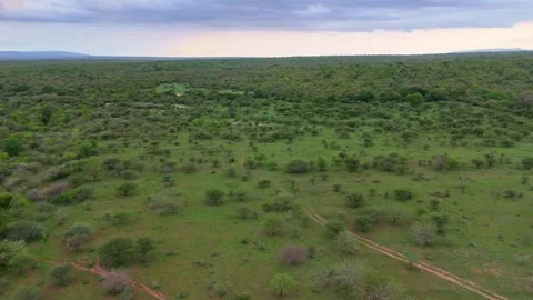 Aerial view of green fields Video stock 296542108
