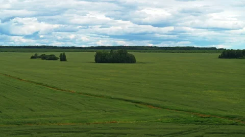 Aerial view of green fields Video stock 300158749