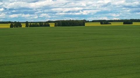Aerial view of green fields Video stock 300159683