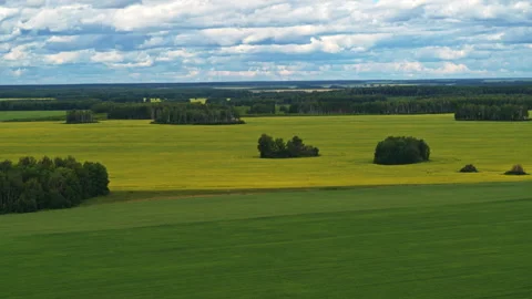Aerial view of green fields Video stock 300159796