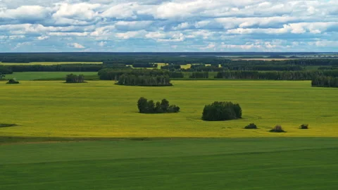 Aerial view of green fields Stock Footage 300160980