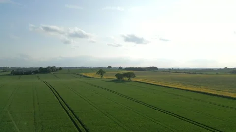 Aerial view of green fields with growing crops, British farming 스톡 동영상 275900682