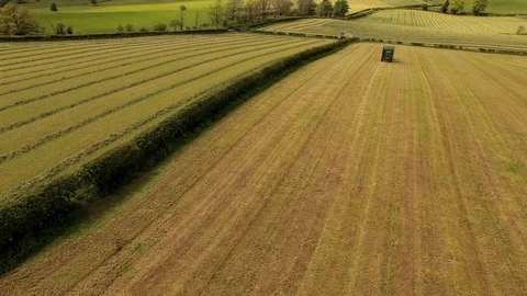 Aerial View Green Fields &amp; Hedges in Lanarkshire Stock Footage 101219553