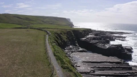 Aerial view of Green fields, meadows aerial: road, no cars driving on background 動画素材 209181447