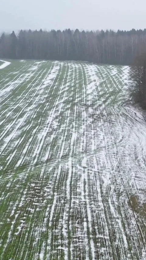 Aerial view of green fields with melting snow patches Video stock 334168996