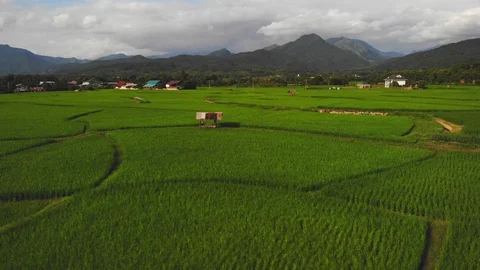 Aerial view Green fields North of Thailand. Stock Footage 119578312