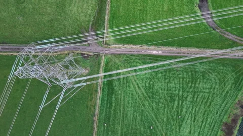 Aerial View of Green Fields with Power Lines Video stock 294122238